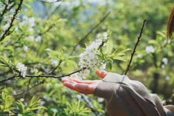 Săn vé máy bay giá rẻ tháng 2