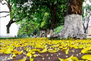Lịch bay Buôn Ma Thuột Hà Nội