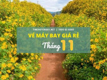 Vé máy bay giá rẻ tháng 11 chỉ từ 99.000 đồng