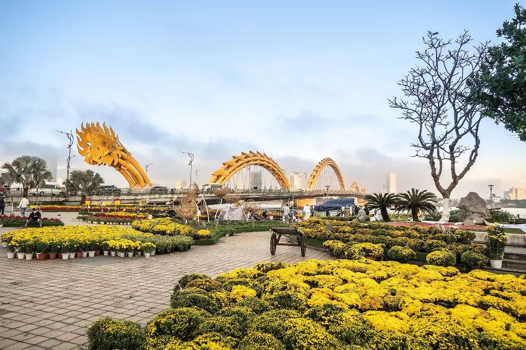 Đà Nẵng rực rỡ sắc hoa mỗi dịp Tết đến Xuân về